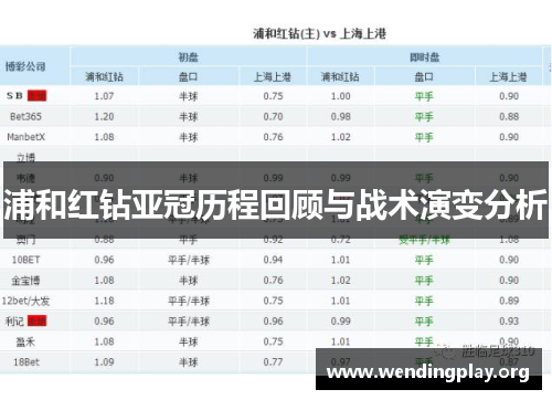 浦和红钻亚冠历程回顾与战术演变分析